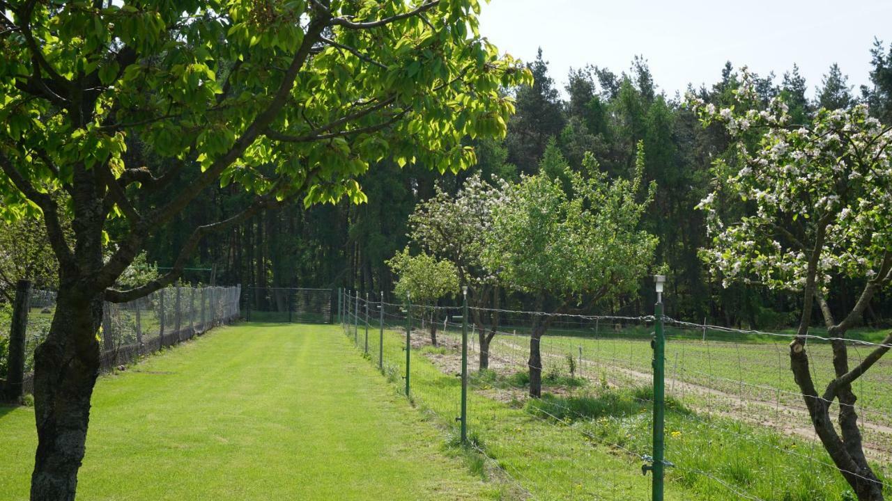 Idyllisches Ferienhaus In Ruhiger Lage Villa Hohenland Luaran gambar