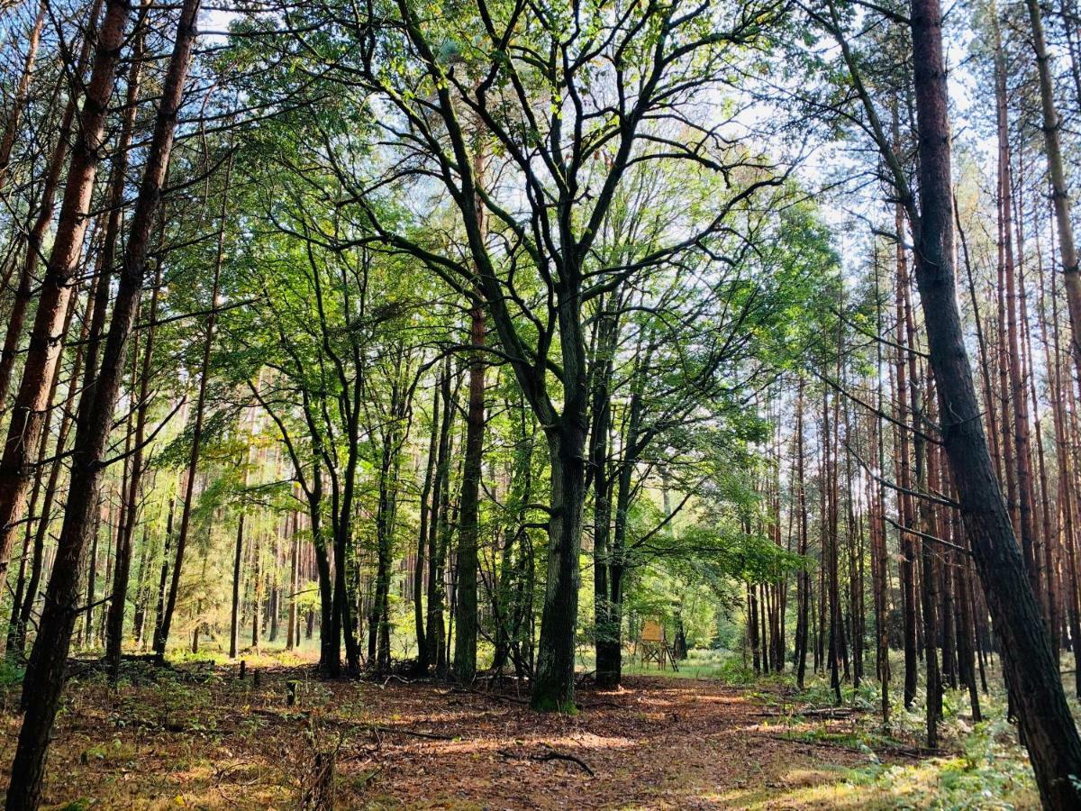 Idyllisches Ferienhaus In Ruhiger Lage Villa Hohenland Luaran gambar